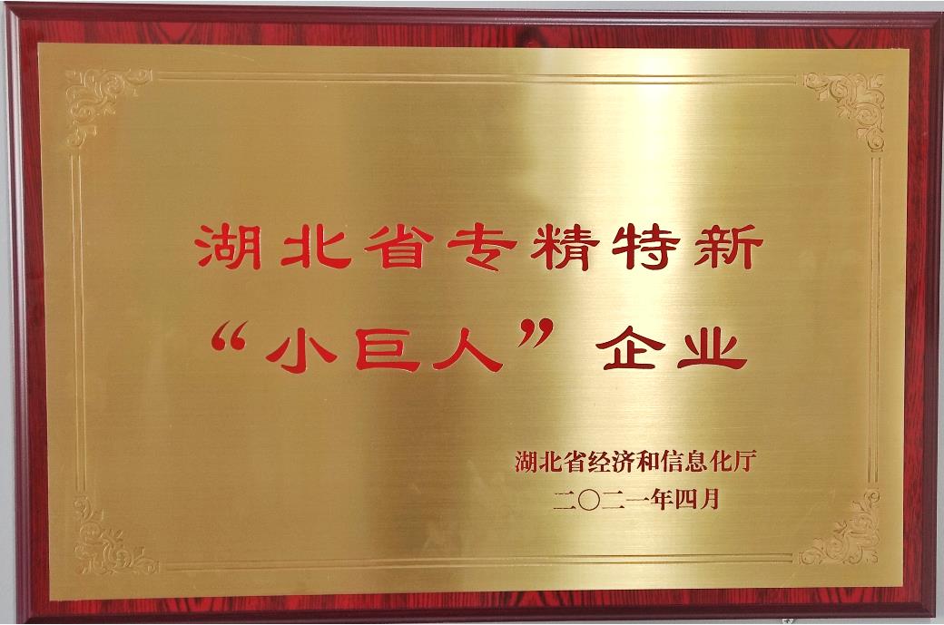 湖北省專(zhuān)精特新&ldquo;小巨人&rdquo;企業(yè)